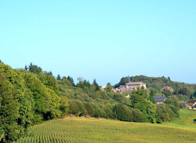 sentier Henri de Navarre la Roche-l'Abeille
